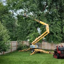 Best Hazardous Tree Removal  in Larkfield Wikiup, CA